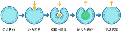 9888拉斯维加斯(股份)有限公司-官方网站