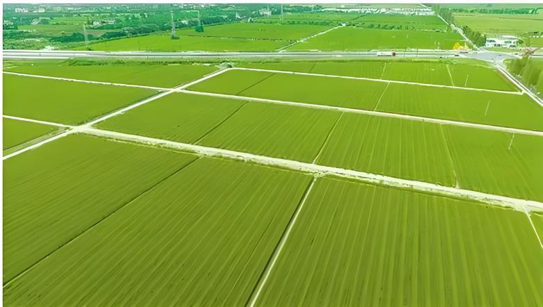 9888拉斯维加斯(股份)有限公司-官方网站